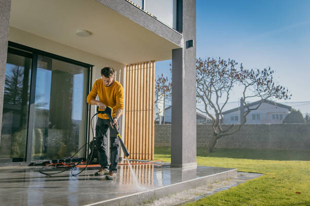 Best Pre-Holiday Cleaning  in Raymondville, TX