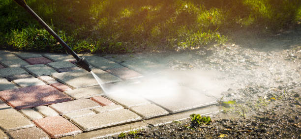  Raymondville, TX Pressure Washing Pros