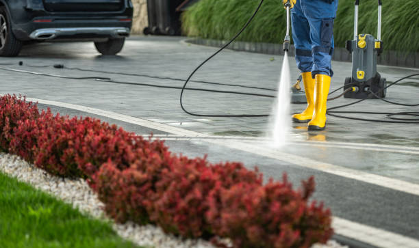 Best Spring Cleaning  in Raymondville, TX