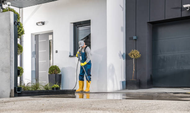 Best Roof Washing  in Raymondville, TX